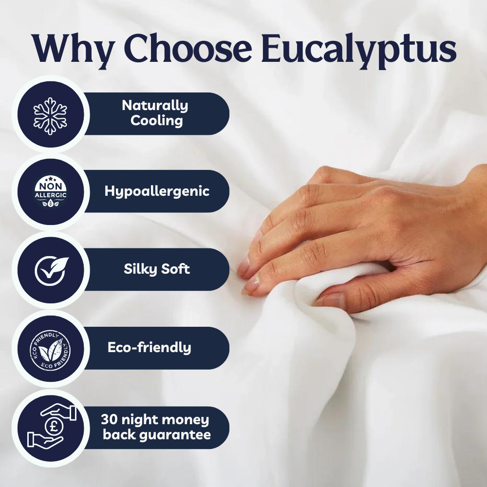 Eucalyptus Silk Pillow Cases - 2 Pack