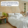 Eucalyptus Silk Pillow Cases - 2 Pack