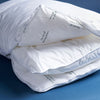 The Dual Pillow LP